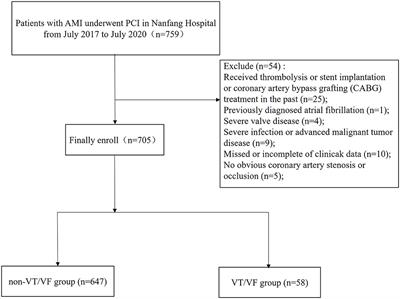 Impact of the caFFR-Guided Functional SYNTAX Score on Ventricular Tachycardia/Fibrillation Development in Patients With Acute Myocardial Infarction